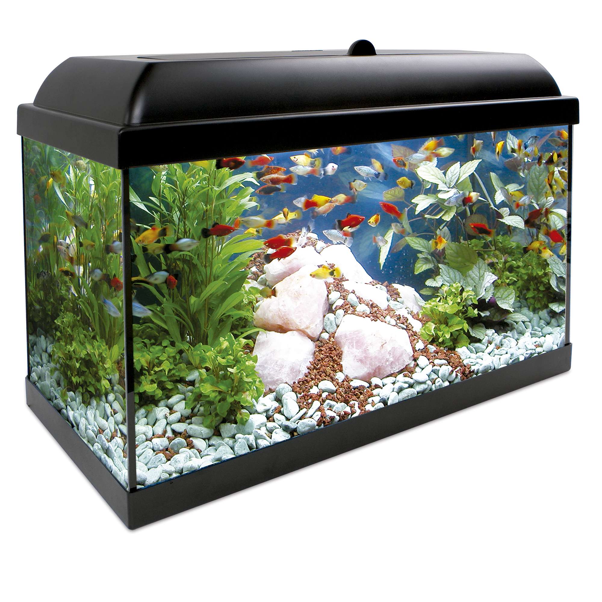 AQUARIUM KIT AQUALED PRO